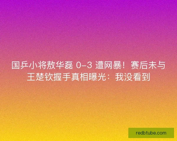 国乒小将敖华磊 0-3 遭网暴！赛后未与王楚钦握手真相曝光：我没看到